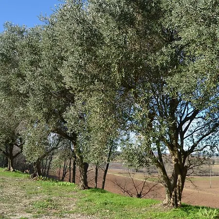 Olistico Atman Agroturismo