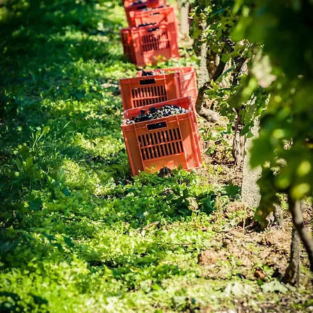 Alloggio per agriturismo Olistico Atman *