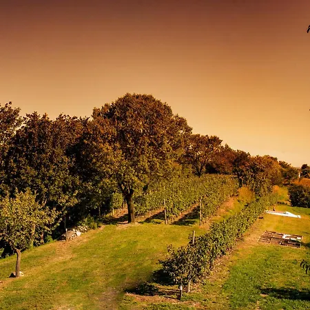 Alloggio per agriturismo Olistico Atman Monzambano
