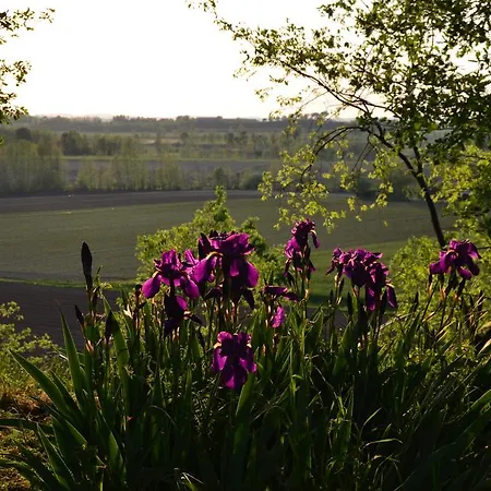 Alloggio per agriturismo Olistico Atman
